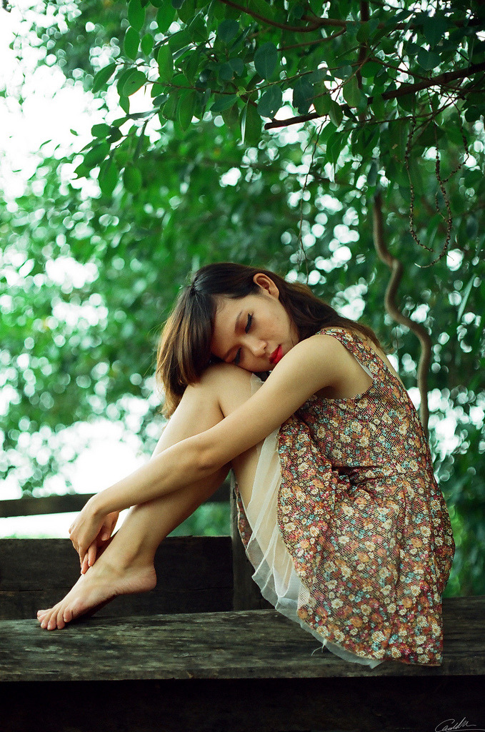 我爱夜来香